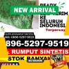 Jual Rumput Plastik Hulu Kuantan.jpg