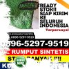 Agen Rumput Imitasi Kabupaten Barito Kuala.jpg