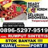 Penjual Rumput Sintetis Nusapenida.jpg