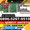 Jual Rumput Imitasi Kepulauan Seribu Utara.jpg