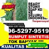 Pusat Rumput Palsu Lais.jpg