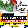 Agen Rumput Imitasi Kabupaten Empat Lawang.jpg