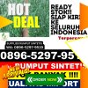 Distributor Rumput Sintetis Lappariaja.jpg