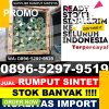 Penjual Rumput Imitasi Barus Utara.jpg