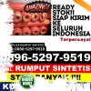 Gudang Rumput Imitasi Syamtalira Aron.jpg