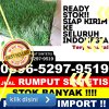 Jual Rumput Plastik Jaya.jpg