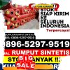 Distributor Rumput Palsu Prajekan.jpg