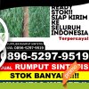 Jual Rumput Imitasi Kota Cirebon.jpg