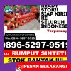 Penjual Rumput Sintetis Pakkat.jpg