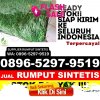 Grosir Rumput Palsu Kabupaten Aceh Barat Daya.jpg