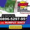 Jual Rumput Plastik Jiwan.jpg