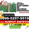 Pusat Rumput Palsu Lima Kaum.jpg