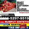 Distributor Rumput Palsu Pulau Banyak.jpg