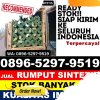 Grosir Rumput Sintetis Berbak.jpg