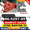 Gudang Rumput Plastik Polokarto.jpg