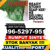 Jual Rumput Plastik Kabupaten Aceh Jaya.jpg