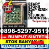 Penjual Rumput Imitasi Belawang.jpg