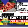 Penjual Rumput Sintetis Pangalengan.jpg