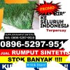 Grosir Rumput Palsu Kabupaten Halmahera Selatan.jpg