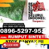 Jual Rumput Plastik Kabupaten Bima.jpg