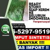 Agen Rumput Imitasi Kabupaten Sukamara.jpg