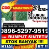 Distributor Rumput Sintetis Madang Suku I.jpg