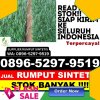 Jual Rumput Imitasi Kragan.jpg