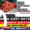 Penjual Rumput Sintetis Pantai Ceuremen.jpg