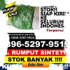 Grosir Rumput Palsu Kabupaten Ketapang.jpg