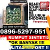 Penjual Rumput Imitasi Bintan Pesisir.jpg