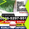 Agen Rumput Imitasi Kademangan.jpg