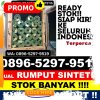 Penjual Rumput Imitasi Bogorejo.jpg