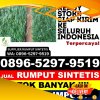 Pusat Rumput Palsu Malo.jpg