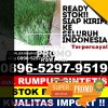 Agen Rumput Imitasi Kalikajar.jpg