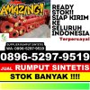 Distributor Rumput Palsu Ranto Baek.jpg