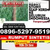 Jual Rumput Imitasi Kuta Alam.jpg