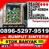 Grosir Rumput Sintetis Buay Pemuka Peliung.jpg