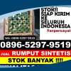 Agen Rumput Plastik Bumi Ratu Nuban.jpg