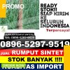 Distributor Rumput Sintetis Mapat Tunggul Selatan.jpg