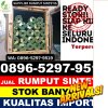 Grosir Rumput Sintetis Bulukumpa.jpg