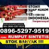 Gudang Rumput Plastik Rambutan.jpg