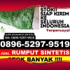 Jual Rumput Plastik Kabupaten Pakpak Bharat.jpg