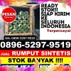 Penjual Rumput Imitasi Buay Bahuga.jpg