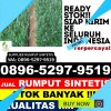 Pusat Rumput Palsu Marancar.jpg