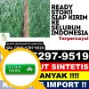 Distributor Rumput Sintetis Marpoyan Damai.jpg