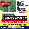 Jual Rumput Imitasi Langsa Lama.jpg