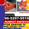 Penjual Rumput Sintetis Pelawan.jpg