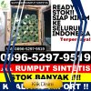 Grosir Rumput Sintetis Bunut Hilir.jpg