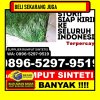 Jual Rumput Plastik Kabupaten Sanggau.jpg