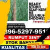 Distributor Rumput Sintetis Medan Johor.jpg